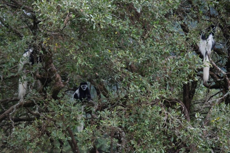 DSCF9736 (Medium).JPG