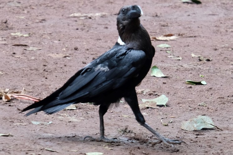 DSCF9767-2 (Medium).jpg