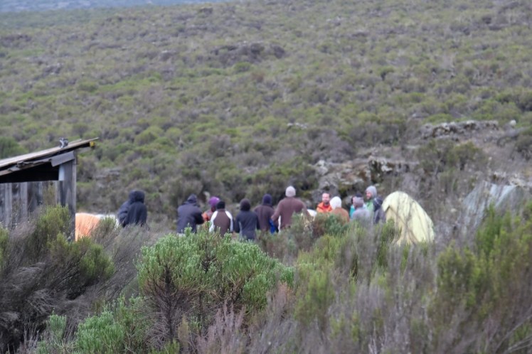 DSCF9909 (Medium).JPG